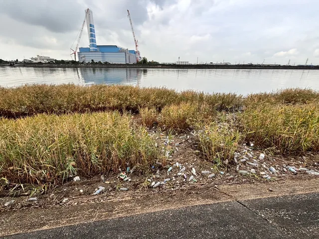 藤前干潟海ごみ学習ツアー_241020_5