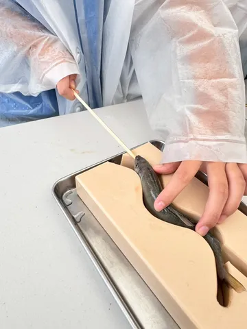 gifuokinawa20250914_5