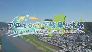 アユでつながる岐阜と沖縄